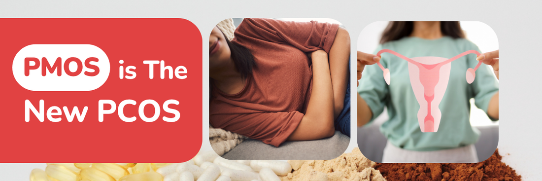 Ayurvedic wellness herbs and holistic lifestyle tips for PCOS balance.