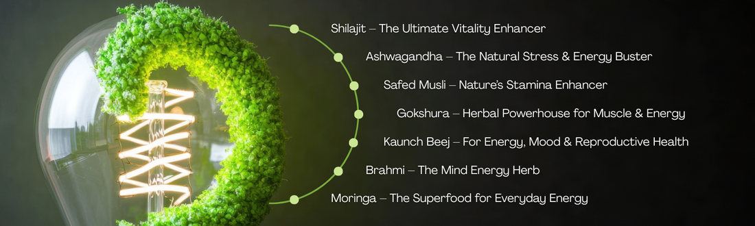 Top 7 Ayurvedic Herbs for Energy & Vitality