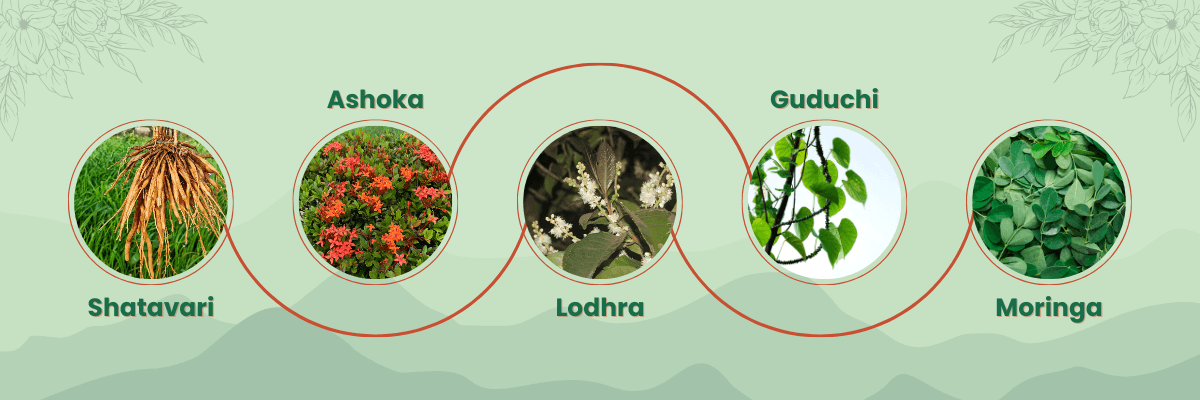 Top 5 Herbs For Hormonal Imbalance - Garry N Sun Organics