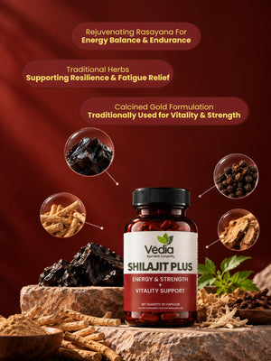 Shilajit Plus